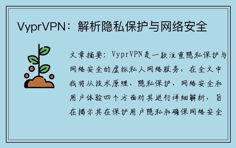 VyprVPN：解析隐私保护与网络安全